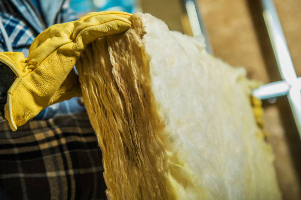 Best Insulation Maintenance and Repair in New Waverly, TX